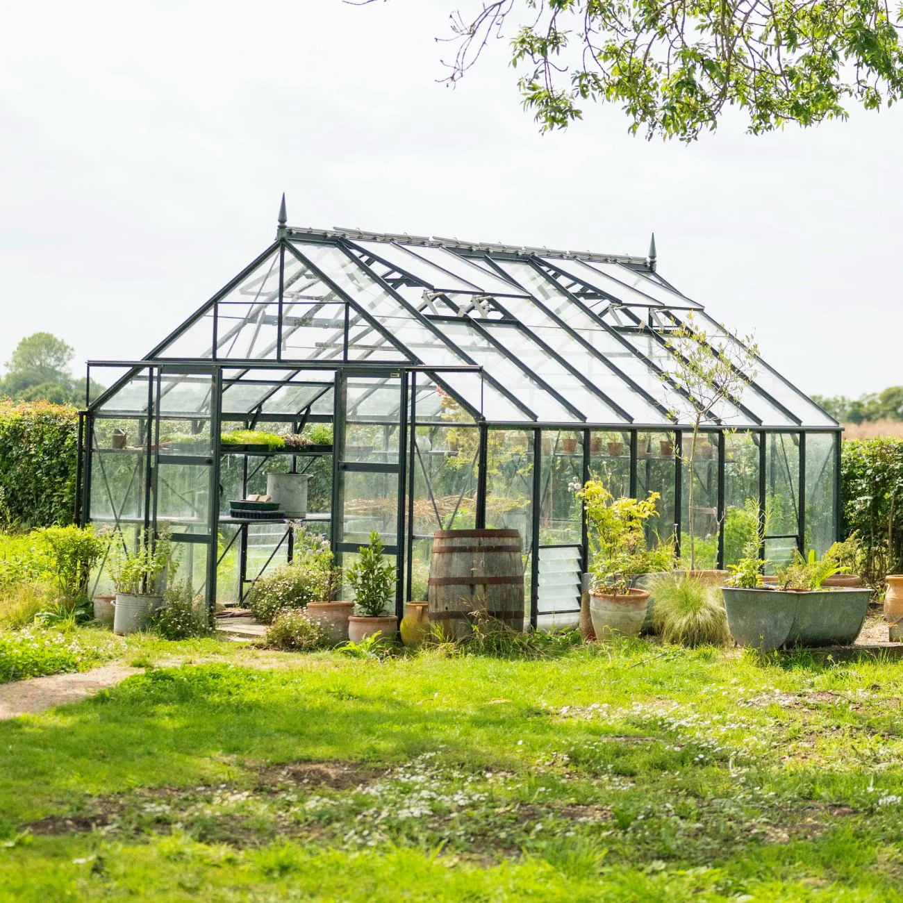 All Greenhouses for Sale